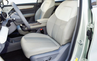 QORAY Caspian AS Electric Vehicle