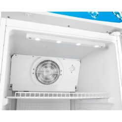 Hisense FL 42FC 306litres Beverage Chiller