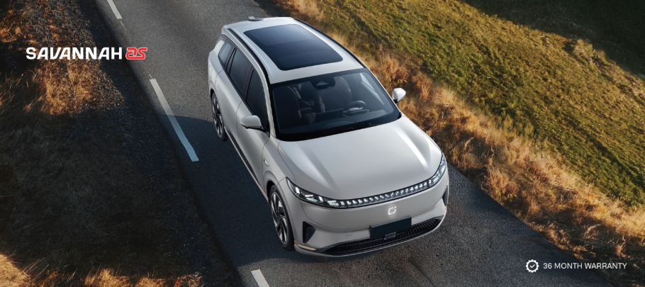 QORAY Savannah AS Electric Vehicle