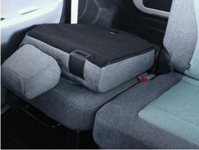 QORAY Javan Electric vehicle