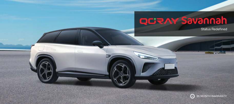 QORAY Savannah Electric car