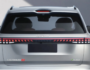 QORAY Savannah AS Electric Vehicle