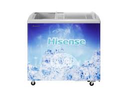 Hisense 303L  Ice Cream  Freezer HISFRZ303SD